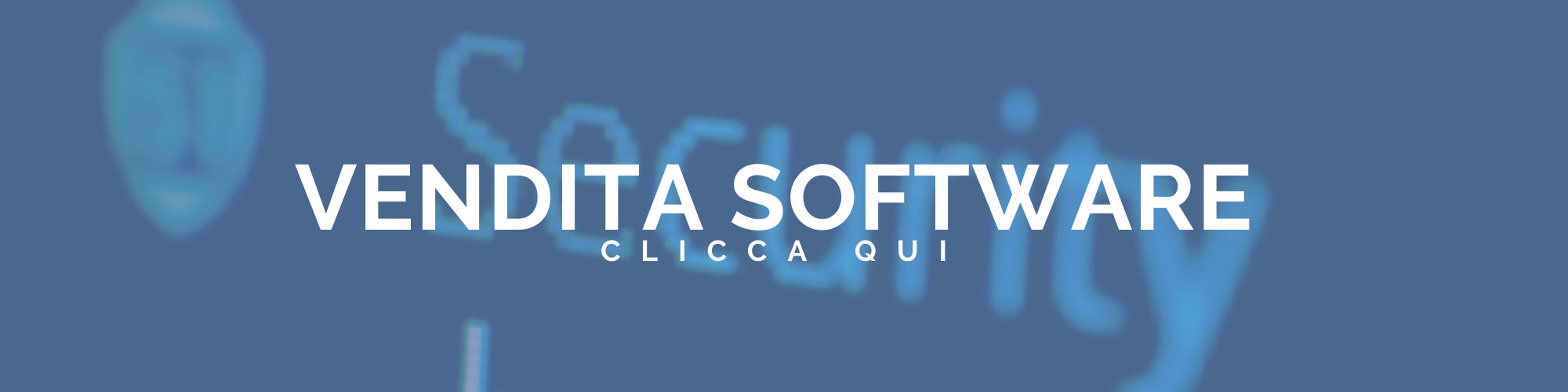 vendita software